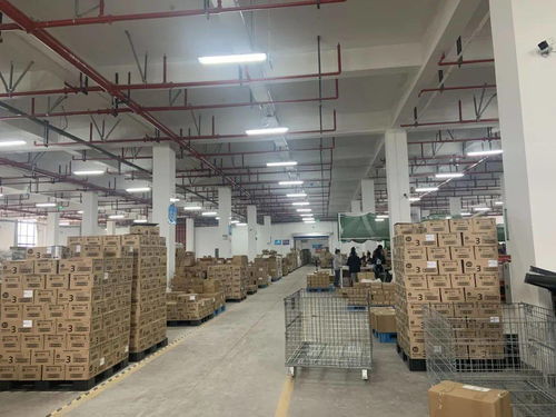 總值突破3000億元 2020年義烏外貿(mào)進(jìn)出口數(shù)據(jù)發(fā)布