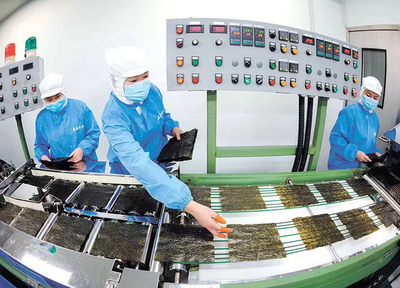 1至4月同比增九成！數(shù)字化轉(zhuǎn)型賦能連云港外貿(mào)進(jìn)出口“新”意滿(mǎn)滿(mǎn)